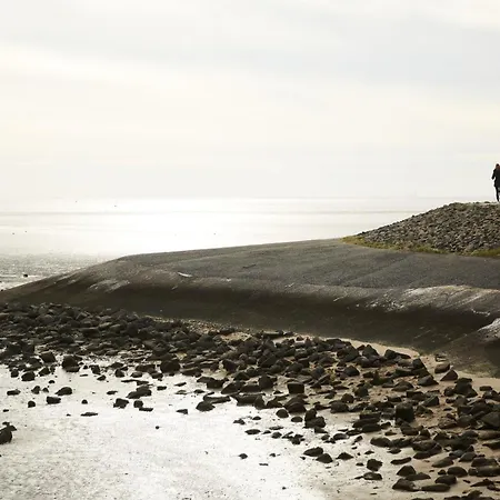 Апартаменты Binnendiek Haus 3 Superior-apartment 1